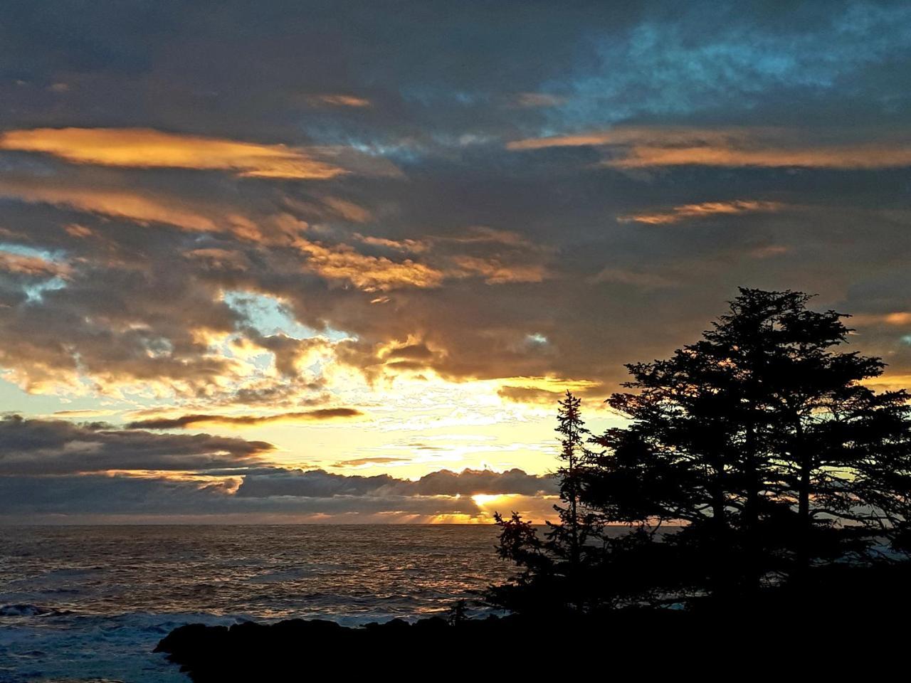 Odyssey Shores Guest Suite Ucluelet Exterior photo